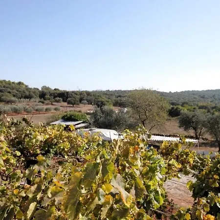 Lägenhet With A Parking Space Stinjan, - 7253 *