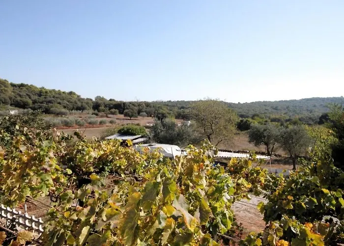 Apartman With A Parking Space Stinjan, - 7253 *